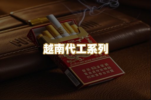 越南代工系列